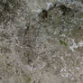Dirty Ground Texture