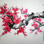 Plum blossoms