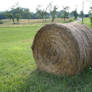 HAY STOCK 2