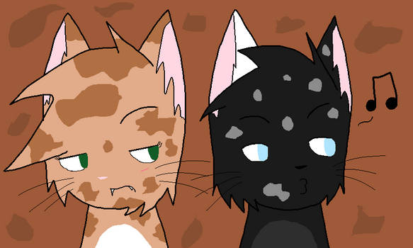 This is my ship?!? WTSC (what the starclan)