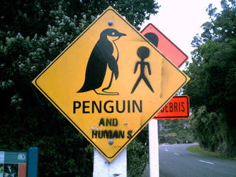 AAAAGH GIANT KILLER PENGUINS