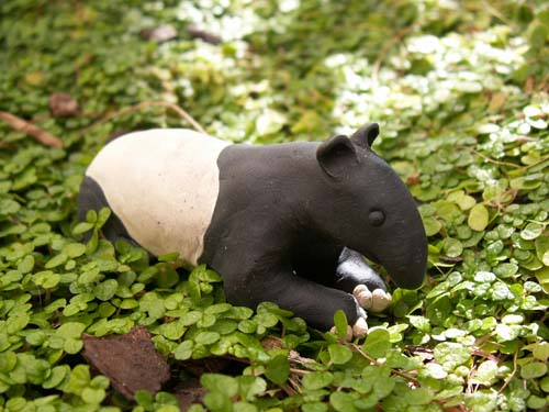 Tapir