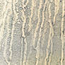 gold drip texture