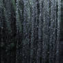 And the rain came down