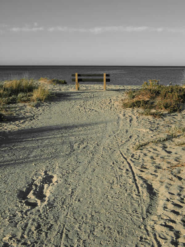 watching the sea