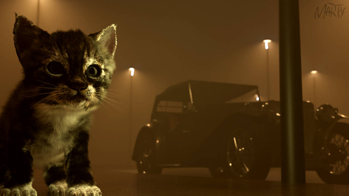 Realistic Cat Render by MartionOfficial on DeviantArt