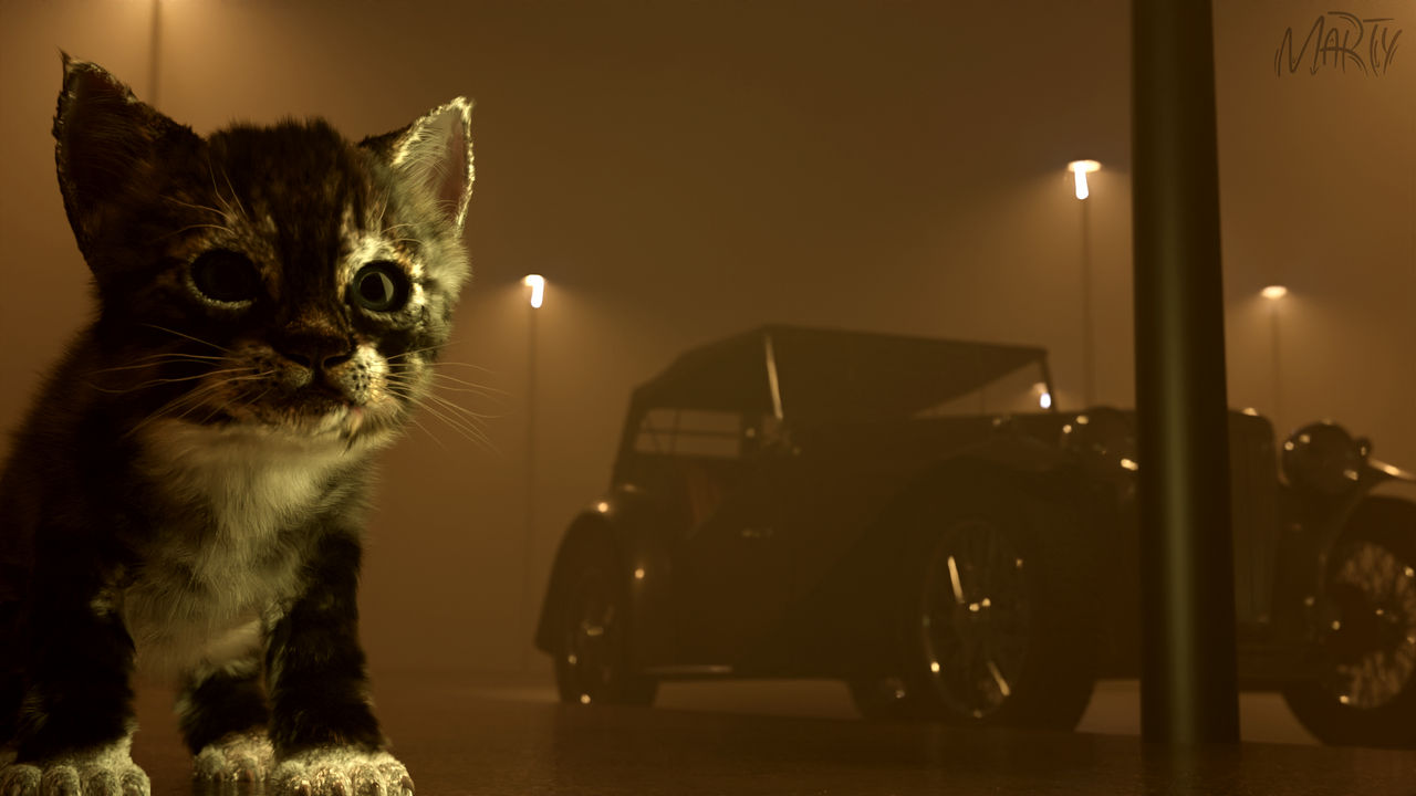 Realistic Cat Render by MartionOfficial on DeviantArt