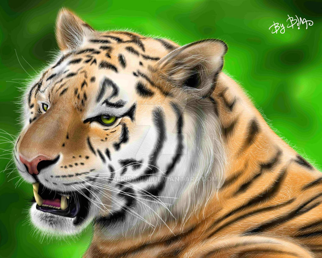 Tiger by SerisaBibi on DeviantArt