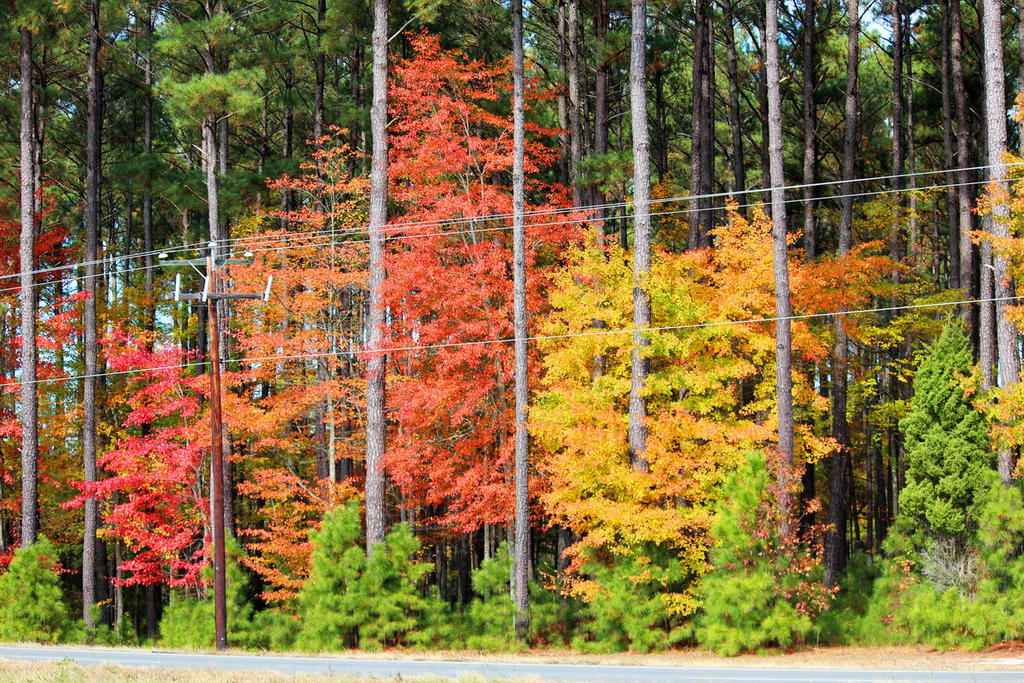 The Power To Hold Nature Back