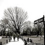 Arlington Cemetery - Military Pride