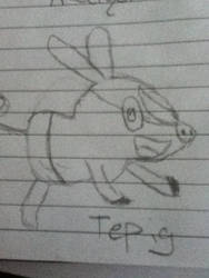 Tepig