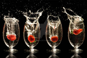 SPLASH n.100
