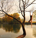 The river, the tree, the acrobat by Carnisch