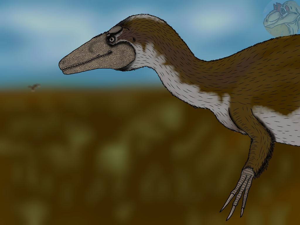 Albertavenator Australovenator with Speculative Feathers by Megaraptor-the-Allo on ...