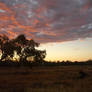 Evening sky