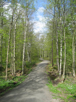 Trail 3