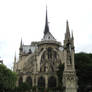 Notre Dame back