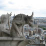Gargoyles 11