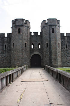 Cardiff Castle 3