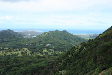 Lookout mountain side