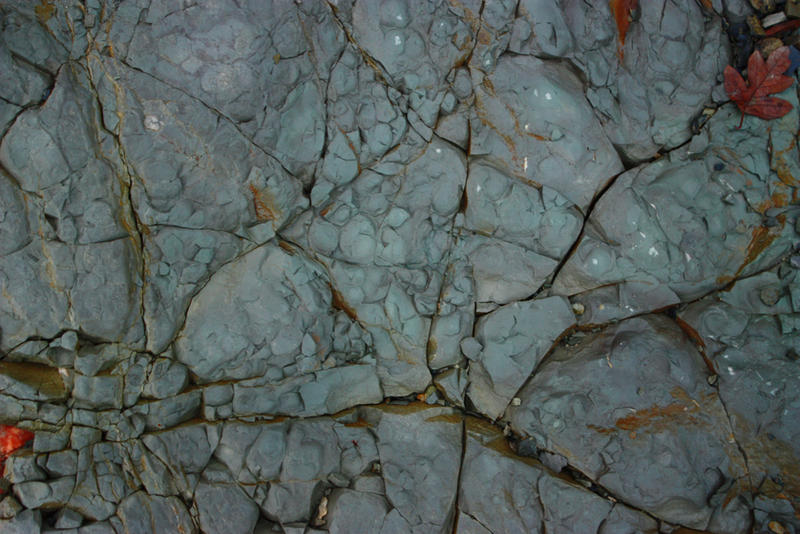 Cracked mudstone
