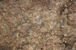 Texture - Organic by CAStock