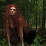 Wild 1