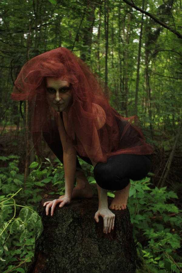 Wild 3 by CAStock