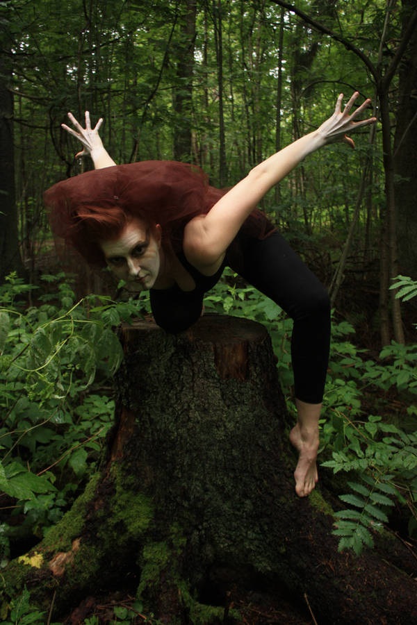 Wild 5 by CAStock