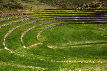 Inca terrace - Moray 1