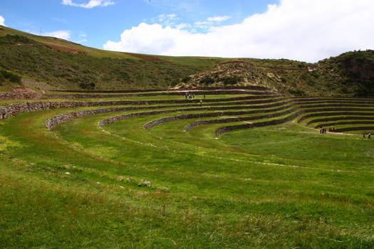 Inca terrace - Moray 3