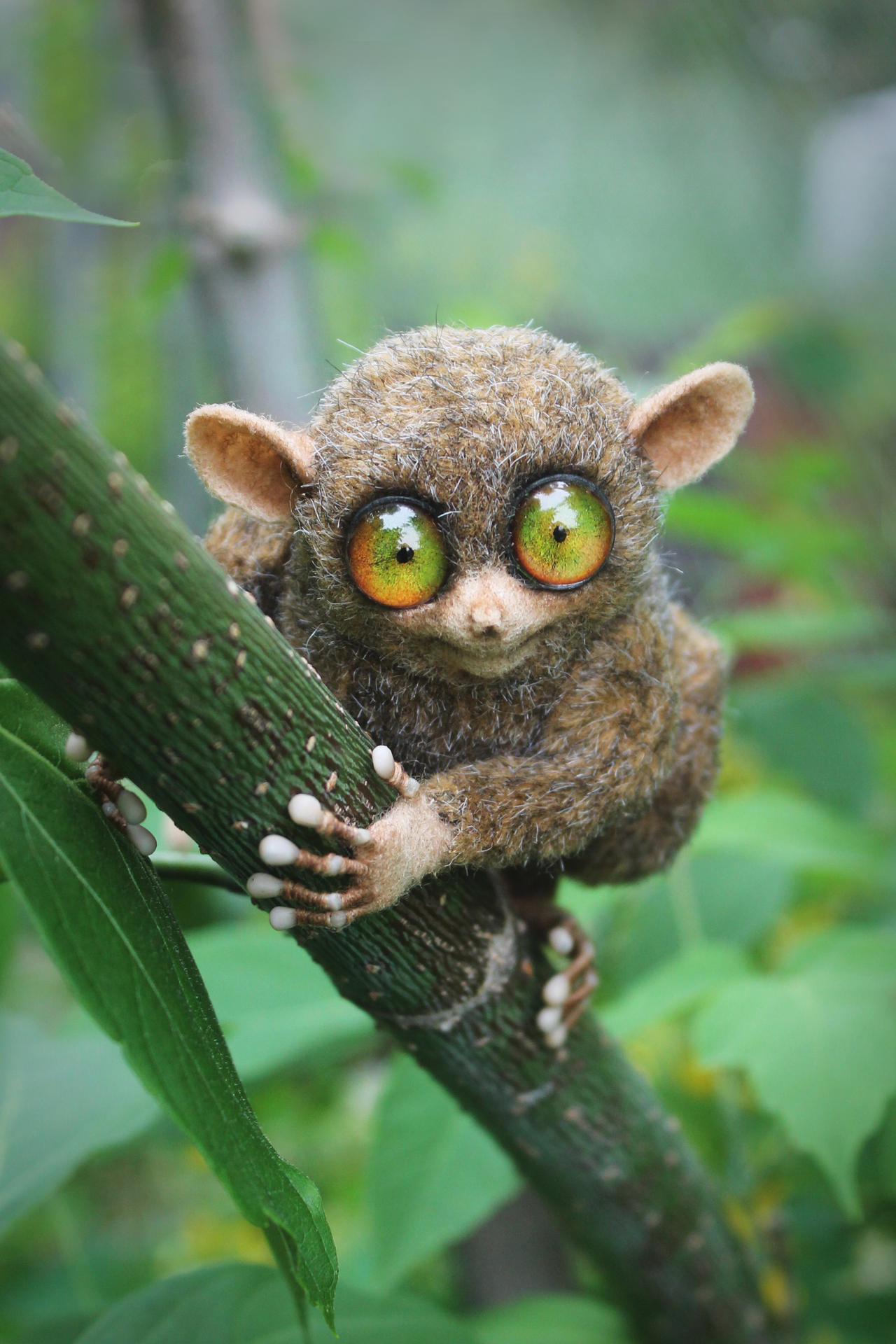 The tarsier [stuffed toy]