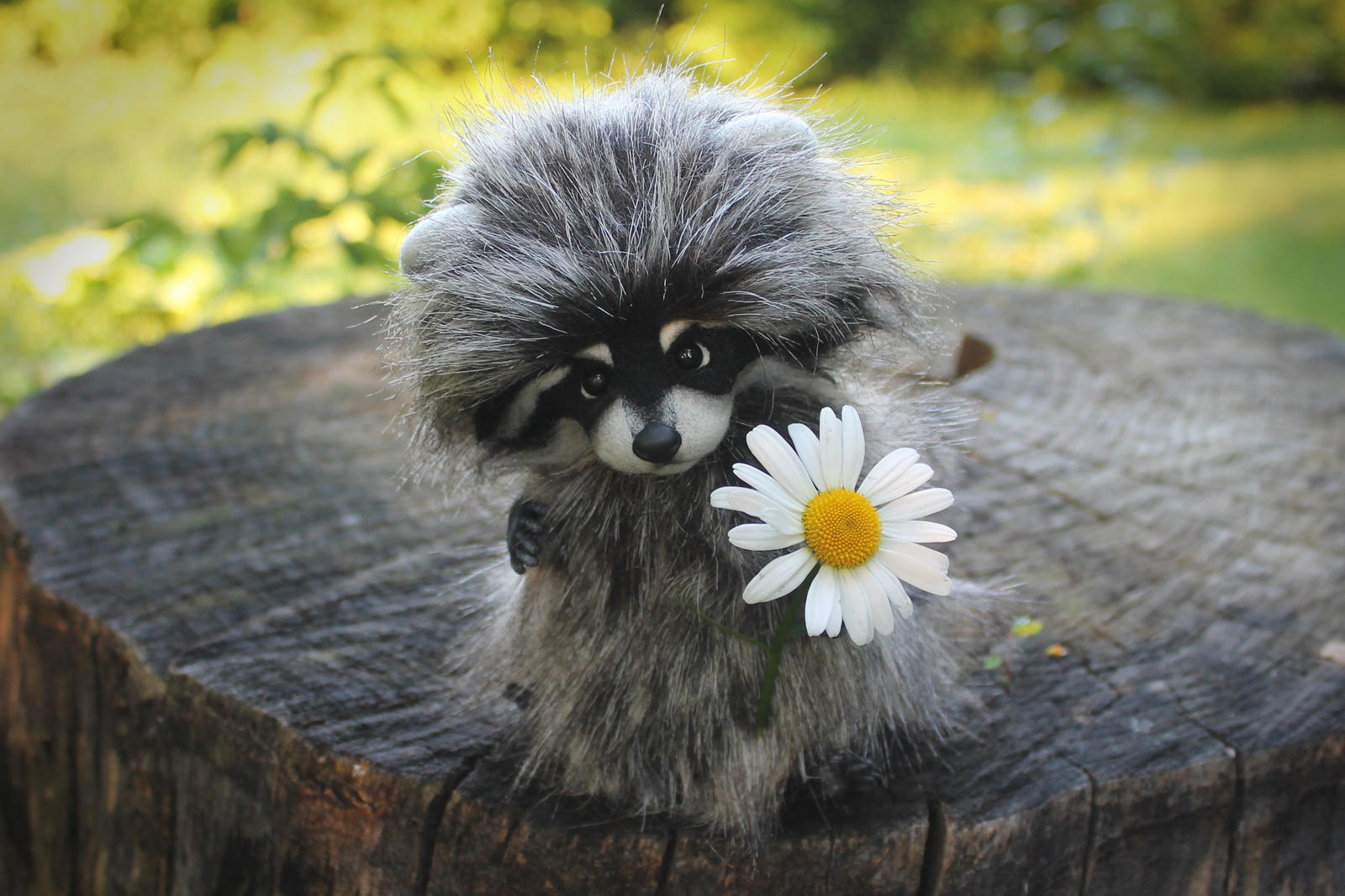 Raccoon Romka [stuffed toy]