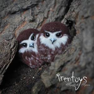 [Brooch] Owlet