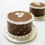 petite chocolate cakes