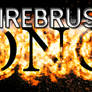 FireBrushesBy10mm