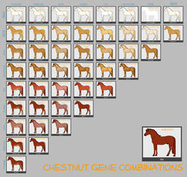 Chestnut Horse Genes