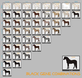 Black Horse Genes