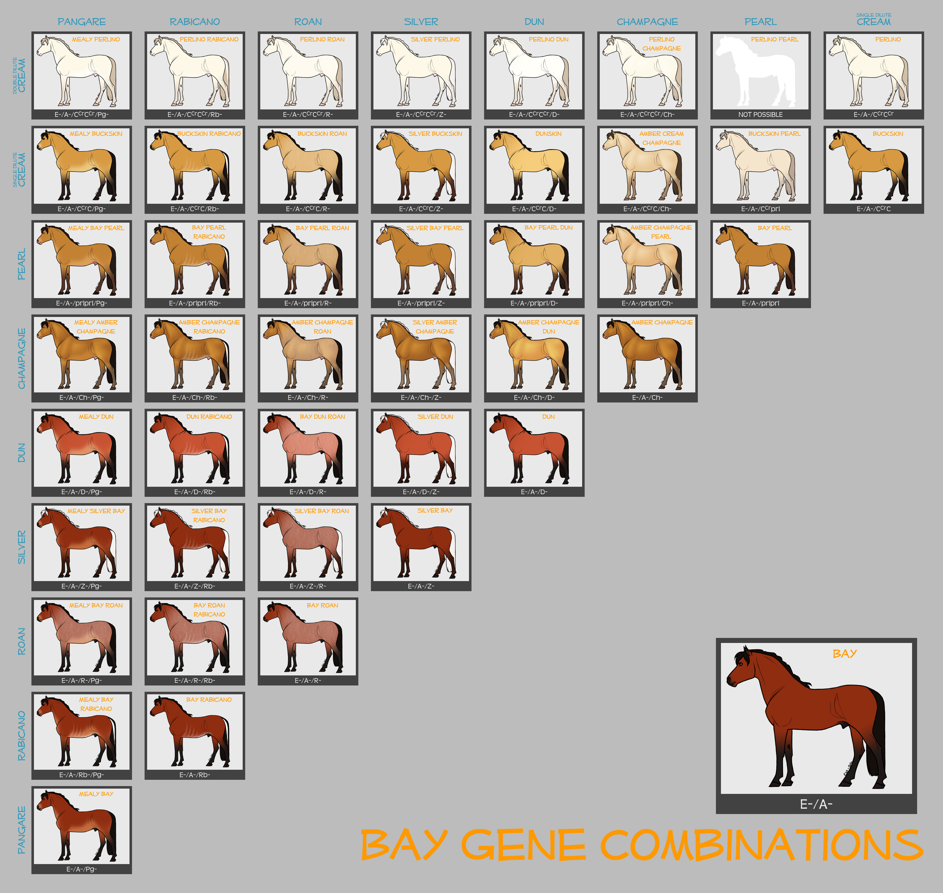 Bay Horse Genes