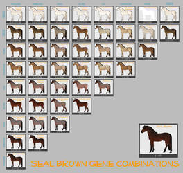 Seal Brown Horse Genes