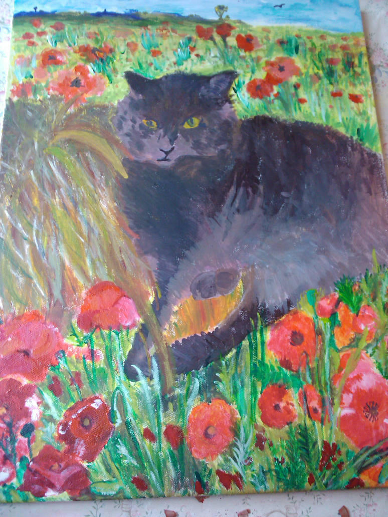 Jess amounst the poppies.