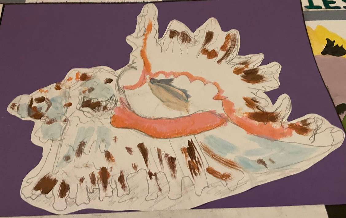 Shell in pencil and water colour by Vampirefairygal on DeviantArt