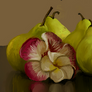 Apple Study 6