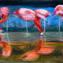 Flamingos8