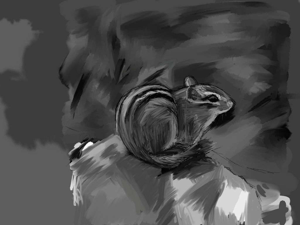 Squirrel Deviantart Squirrel Study3 by tonysk8erkid on DeviantArt
