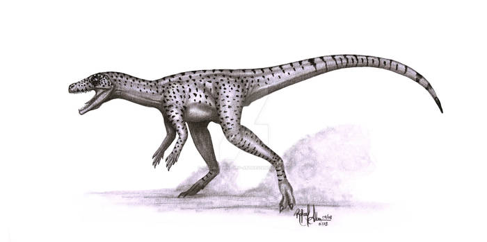 Naturalhistory Art Hobbyist Traditional Artist Deviantart Naturalhistory Art Hobbyist Traditional Artist Deviantart