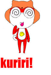 Kuriri