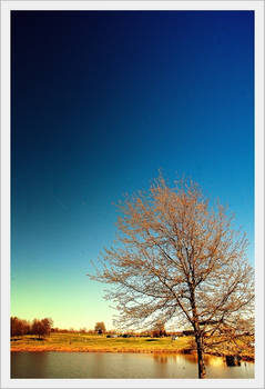 shelby farms lake