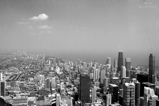 Chicago City View