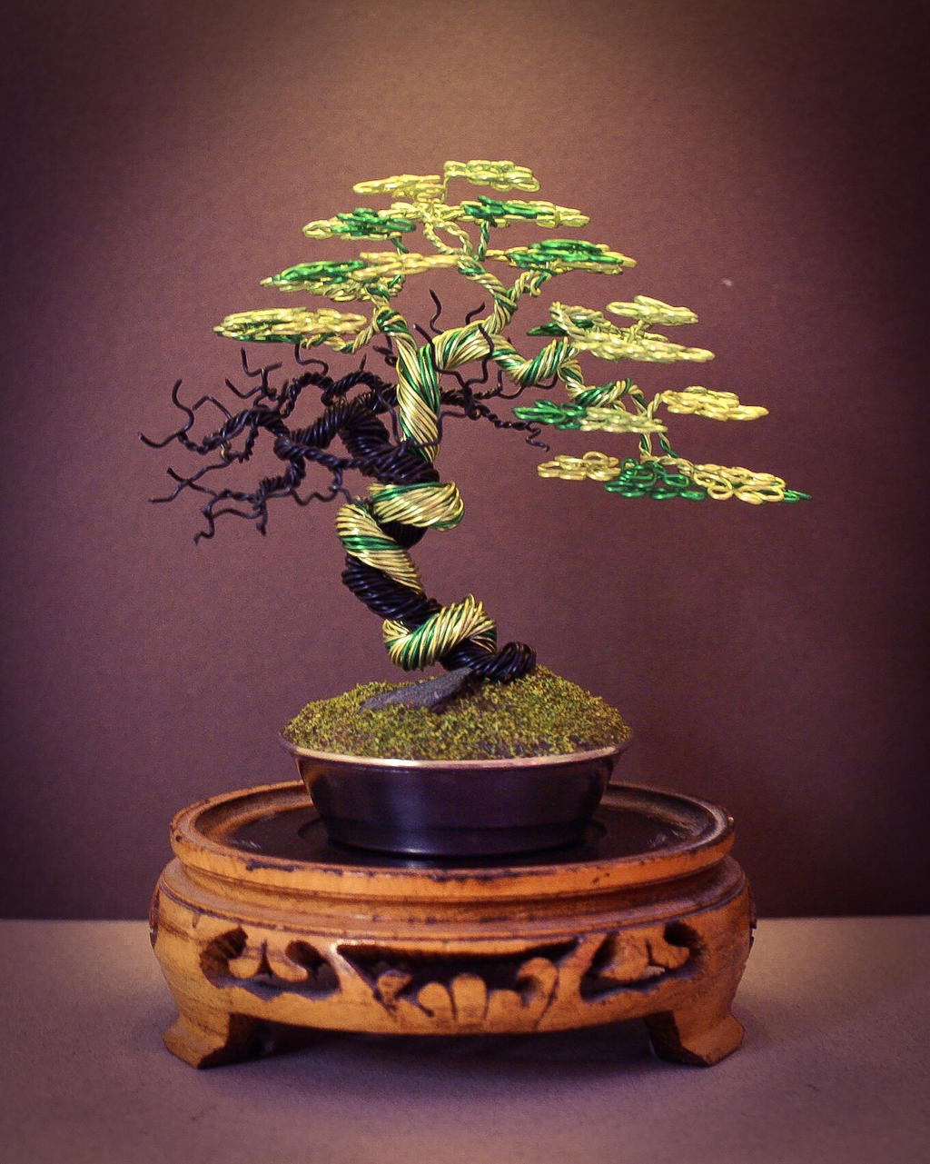 Bonsai Operculicarya